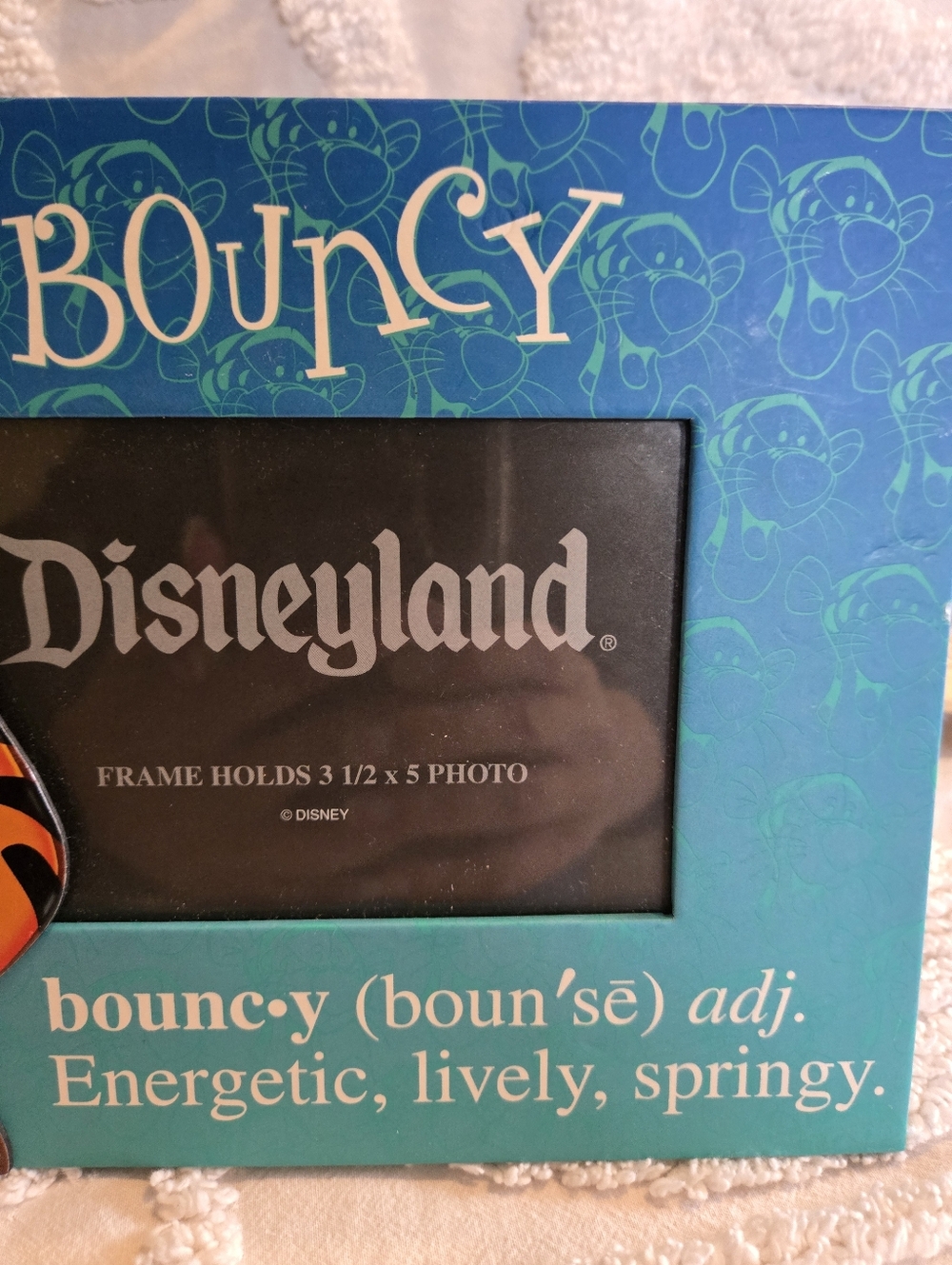 Disneyland Disney Teal & Blue Tigger Bouncy Picture Frame Holds 3 1/2 x 5 Photo - Picture 4 of 9
